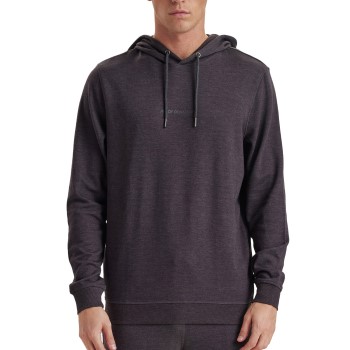 Se JBS of Denmark Hoodie With Logo Mørkgrå  Medium Herre ved Timarco