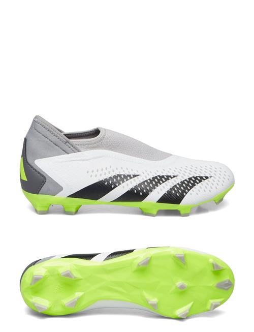 Se adidas Performance Predator Accuracy.3 Ll Fg Adidas Performance White ved Booztlet