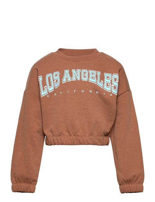 Lindex Sweatshirt Gwen Crewneck Lindex Brown