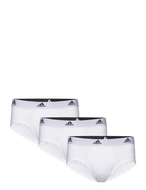 adidas Underwear Brief Adidas Underwear White