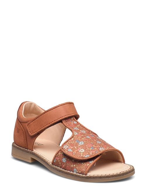 Payton T-Bar Sandal Wheat Brown