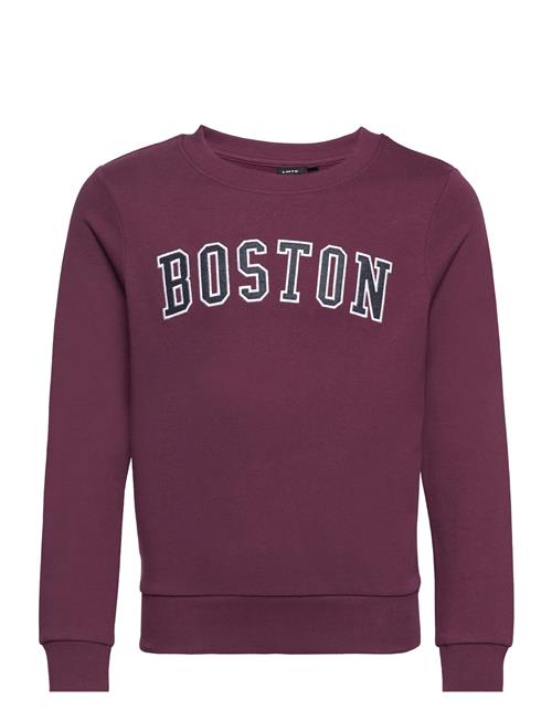 LMTD Nlmnoston Ls Bru O-Neck Sweat LMTD Burgundy