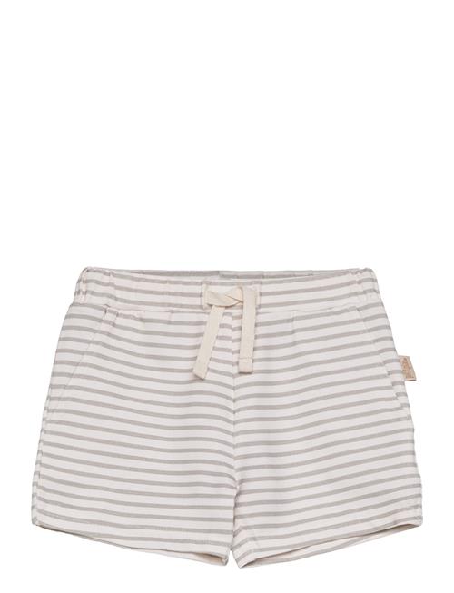 Petit Piao Shorts Sum Printed Petit Piao Green