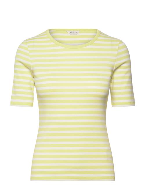 GANT Slim Striped 1X1 Ribbed Ss T-Shirt GANT Green