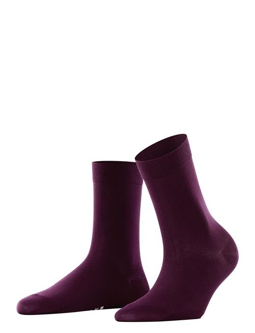 Se Falke Women Falke Cotton Touch So Falke Women Purple ved Booztlet