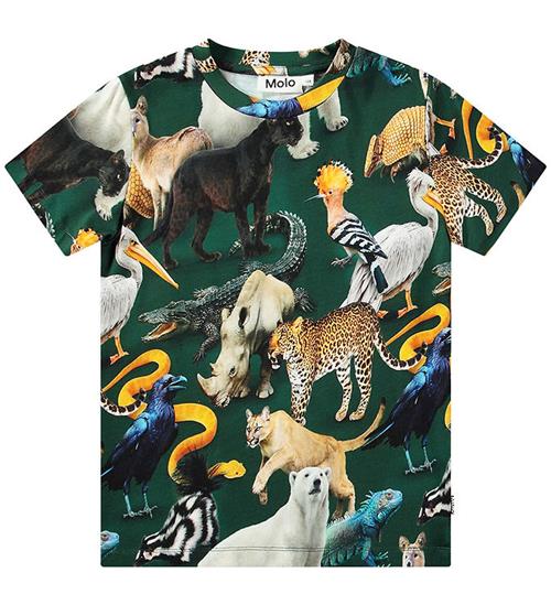 Molo Molo T-shirt - Ralphie - Mixed Animals