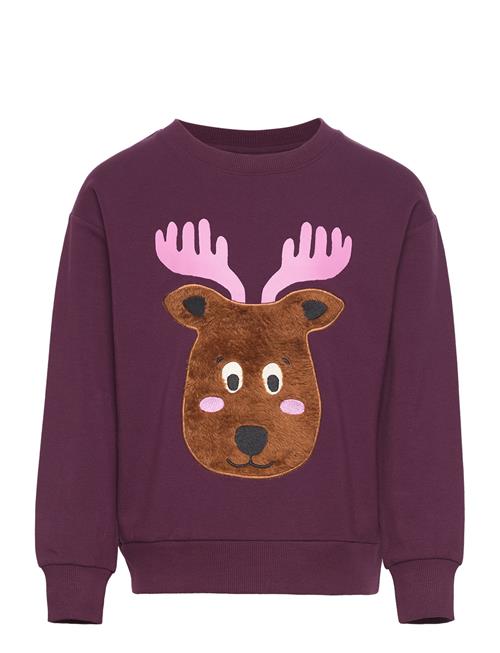 Se Lindex Sweater Placement Forest Lindex Purple ved Booztlet