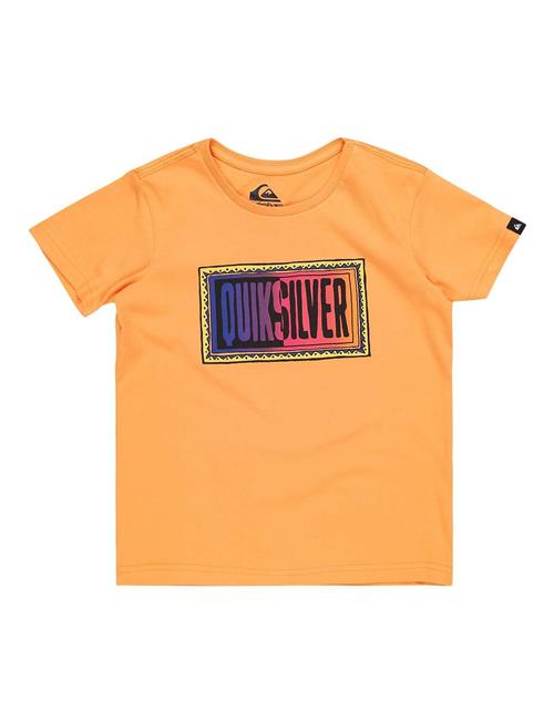 Day Tripper Ss Boy Quiksilver Orange