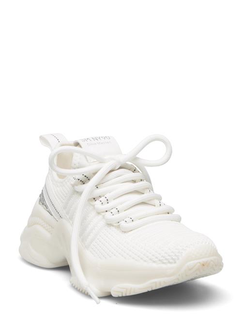 Steve Madden Jmaxima Sneaker Steve Madden White