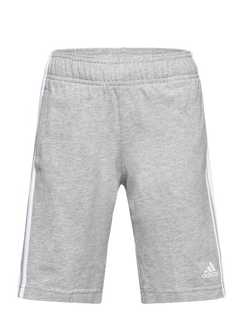 adidas Sportswear U 3S Kn Sho Adidas Sportswear Grey