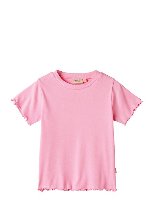 Wheat T-Shirt S/S Irene Wheat Pink