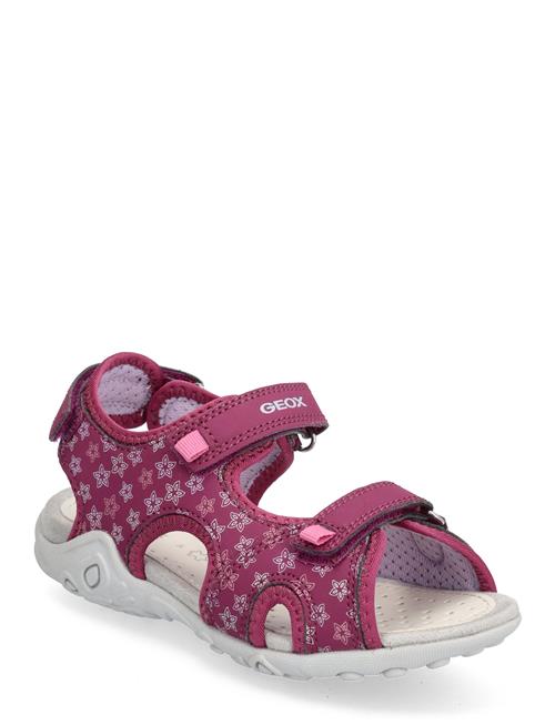 GEOX J Sandal Whinberry G GEOX Purple