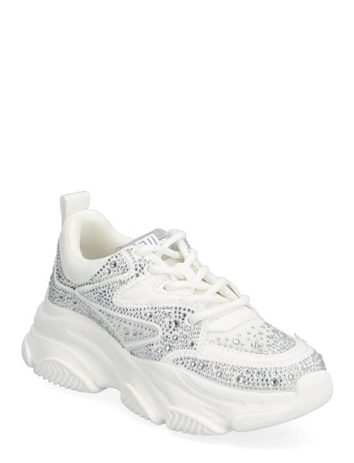 Steve Madden Jprivy Sneaker Steve Madden White