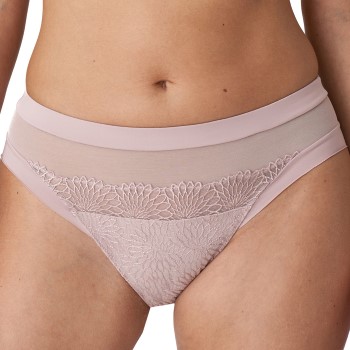 PrimaDonna Trusser Sophora Rio Brief Lyserosa 38 Dame