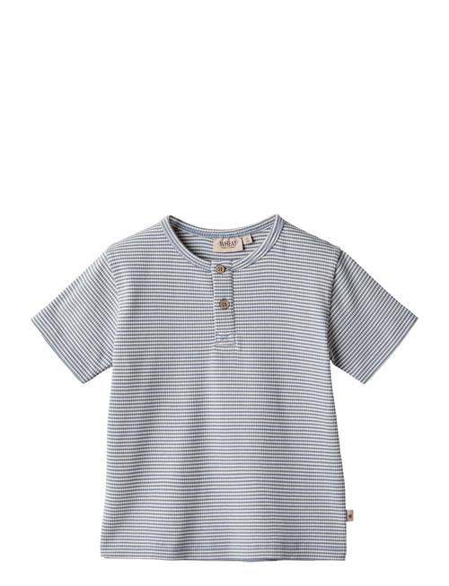 Wheat T-Shirt Lumi Wheat Blue