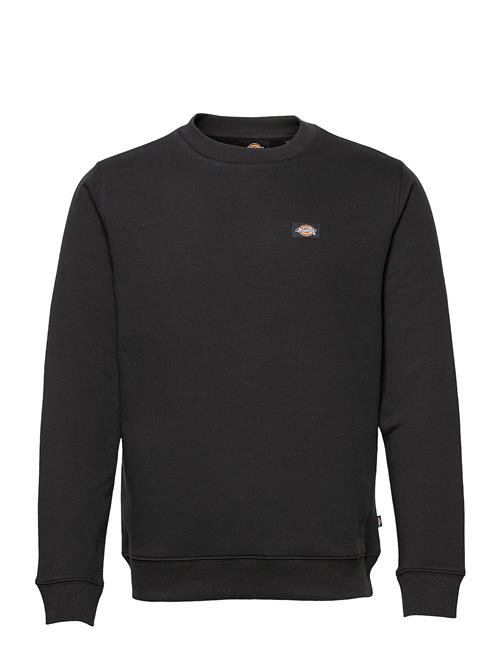 M Oakport Sweatshirt Dickies Black