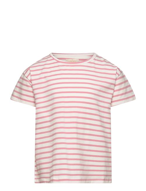 Creamie T-Shirt Ss Stripe Creamie Pink