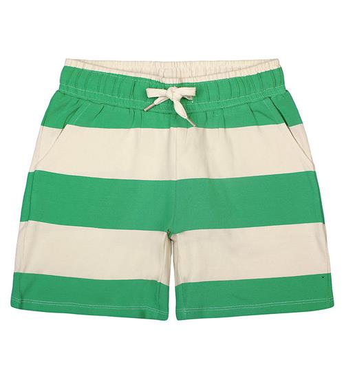 The New The New Shorts - TnJae Uni - Bright Green