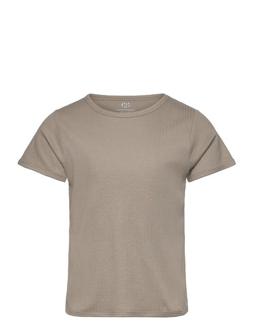 Rib Jersey T-Shirt Copenhagen Colors Grey