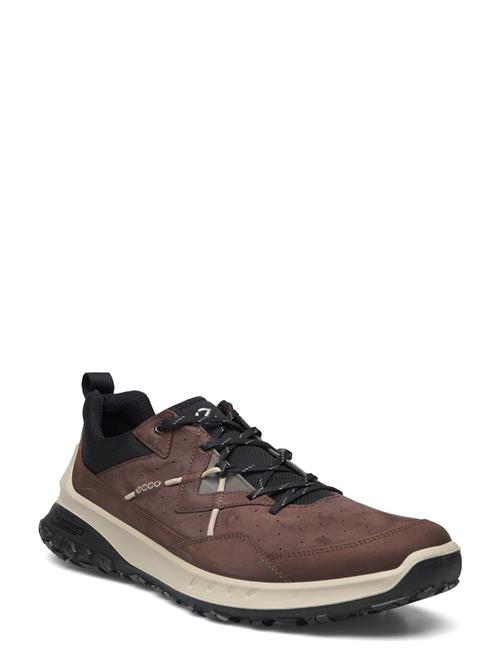 ECCO Ult-Trn M ECCO Brown