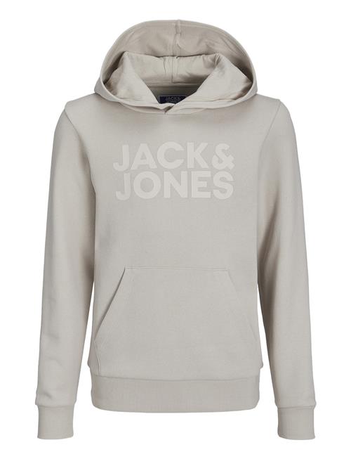 Jack & Jones Jjecorp Logo Sweat Hood Noos Jnr Jack & J S Grey