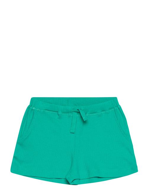 Copenhagen Colors Rib Jersey Shorts Copenhagen Colors Green