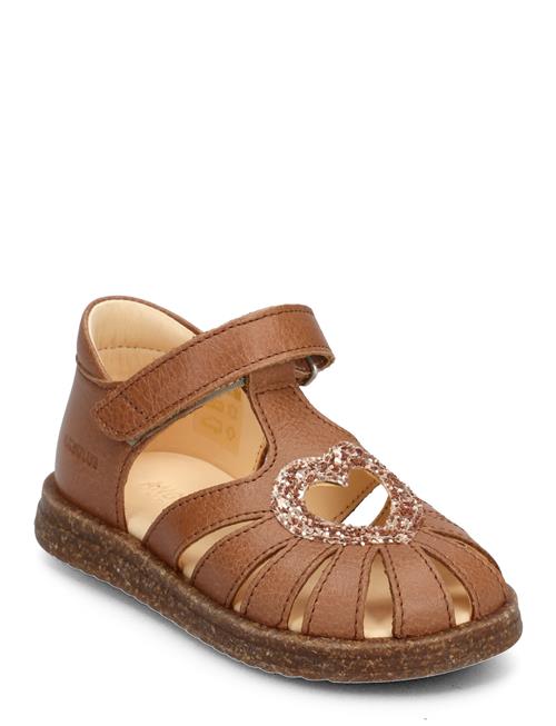 ANGULUS Sandals - Flat - Closed Toe - ANGULUS Brown