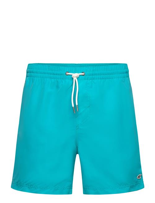 O'neill Vert 16'' Swim Shorts O'neill Blue