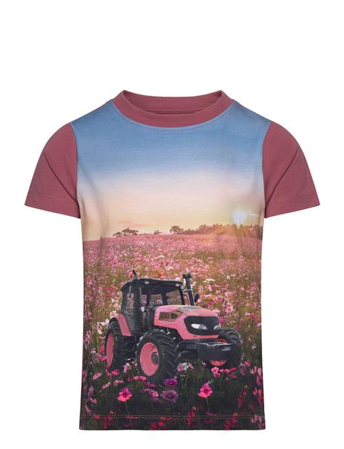 Se Minymo T-Shirt Ss Minymo Pink ved Booztlet