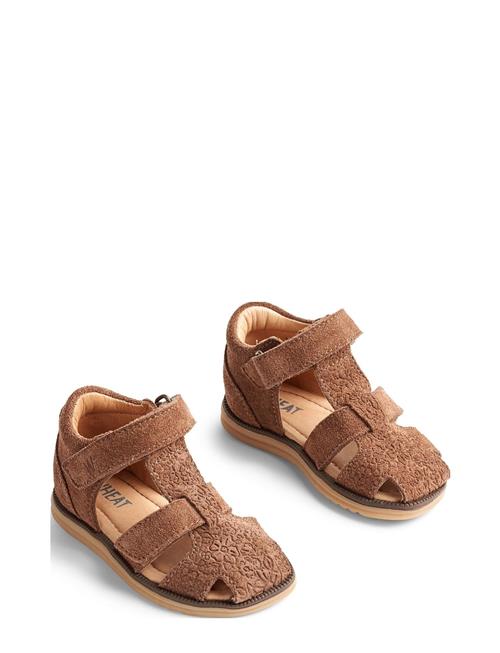 Wheat Sage Sandal Wheat Brown