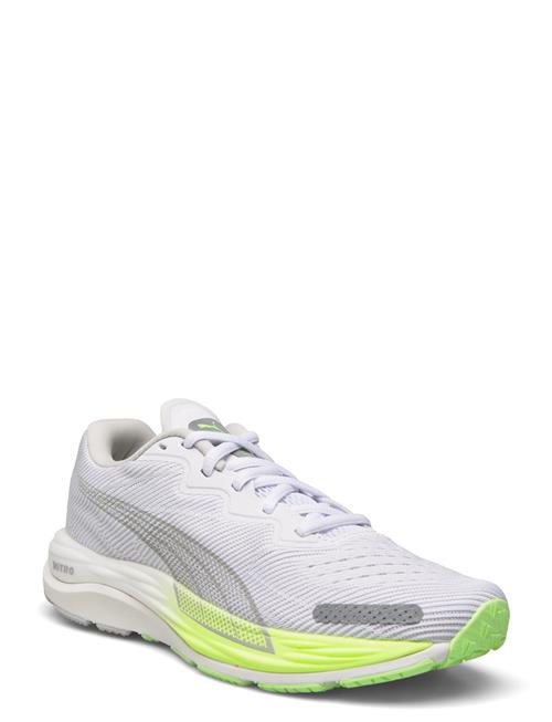 Se PUMA Velocity Nitro 2 Wns PUMA White ved Booztlet