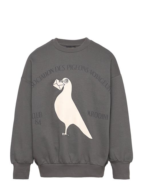 Se Mini Rodini Pigeons Sp Sweatshirt Mini Rodini Grey ved Booztlet