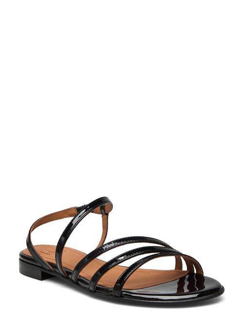 Billi Bi Sandals Billi Bi Black