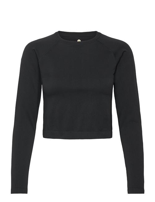 Celita W L-S Seamless Crop Top Athlecia Black