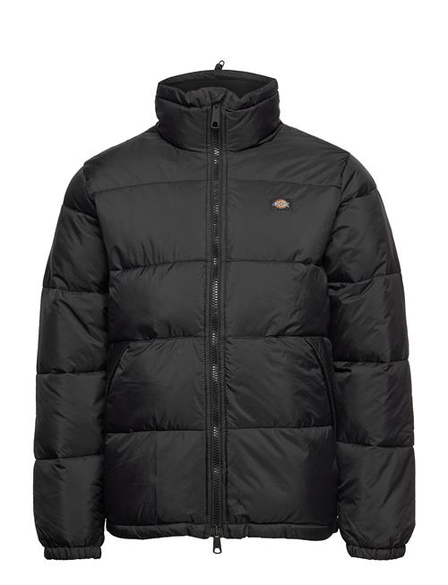 Dickies Waldenburg Jacket Dickies Black