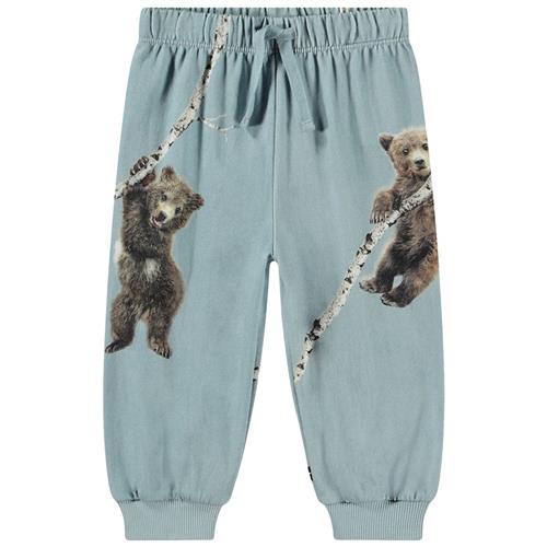 Molo GOTS Simeon Joggingbukser Birch Bears | Blå | 74 cm