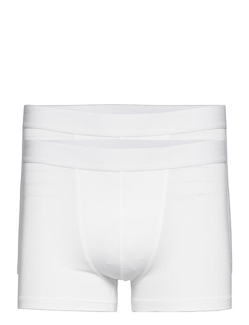 Mutlipack Boxer Brief Modal Bread & Boxers White