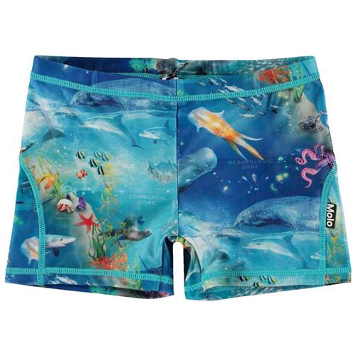 Se Molo Norton Badebukser Ocean Zones | Blå | 92/98 cm ved Babyshop