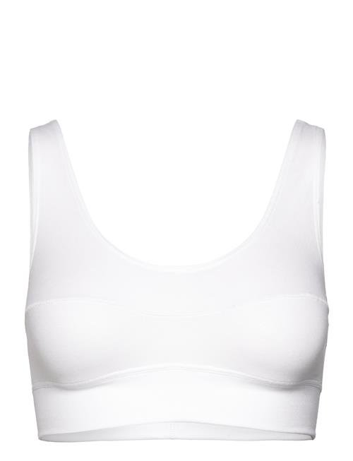 Elastic Soft Bra Calida White