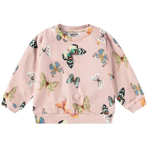 Se Molo GOTS Disc Sweatshirt Blush Papillions | Lyserød | 62 cm ved Babyshop