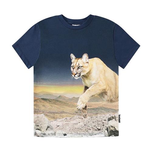 Molo GOTS Roxo T-shirt Puma Blue | Marine blå | 98 cm