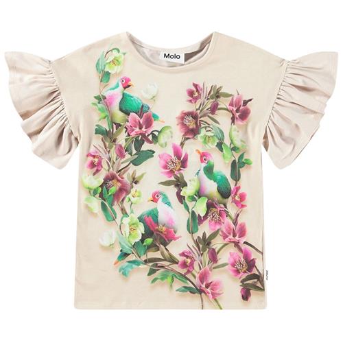 Molo GOTS Rayah T-shirt Fruit Doves | Beige | 92 cm