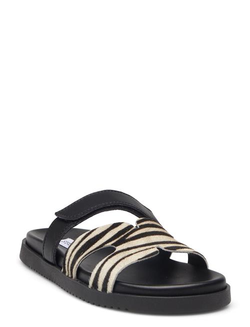 Missile-L Sandal Steve Madden Black