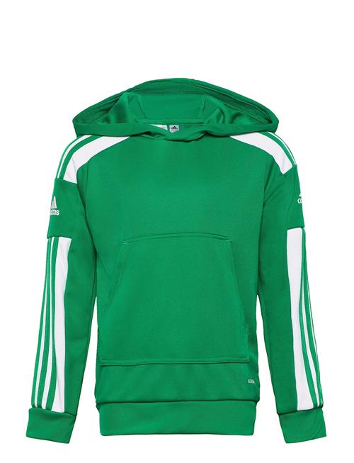 Se adidas Performance Squadra21 Hoody Youth Adidas Performance Green ved Booztlet