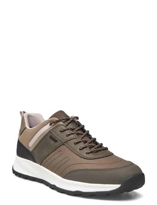 GEOX U Terrestre B Abx A GEOX Khaki