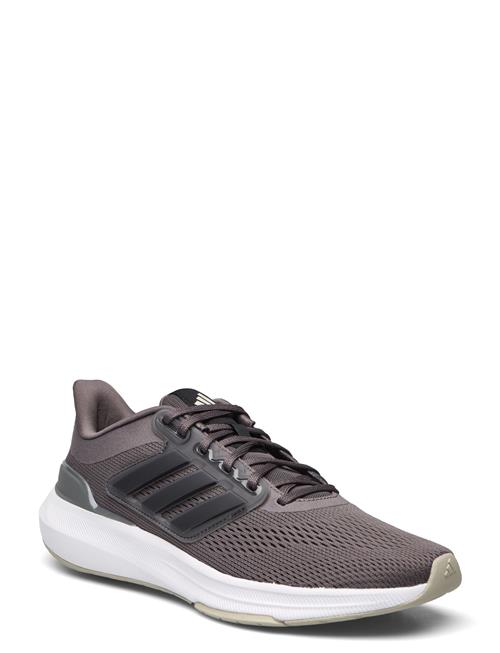 adidas Performance Ultrabounce Adidas Performance Grey