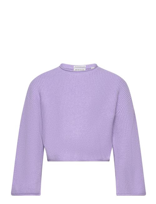 Se Tom Tailor Basic Sweater Tom Tailor Purple ved Booztlet