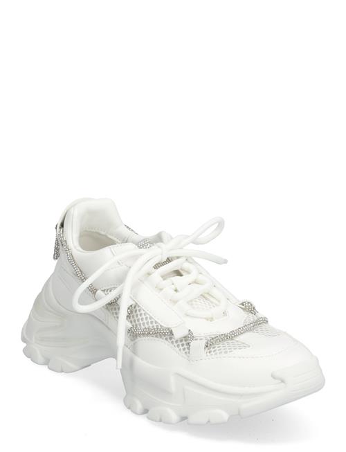 Miracles Sneaker Steve Madden White