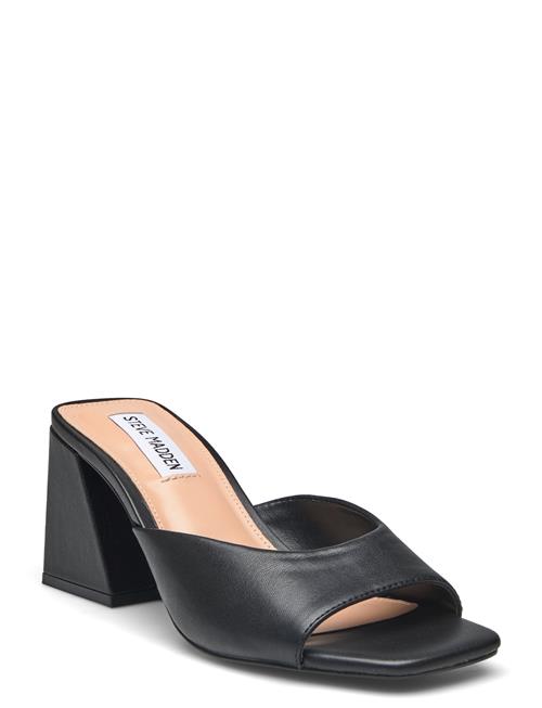 Se Steve Madden Glowing Sandal Steve Madden Black ved Booztlet