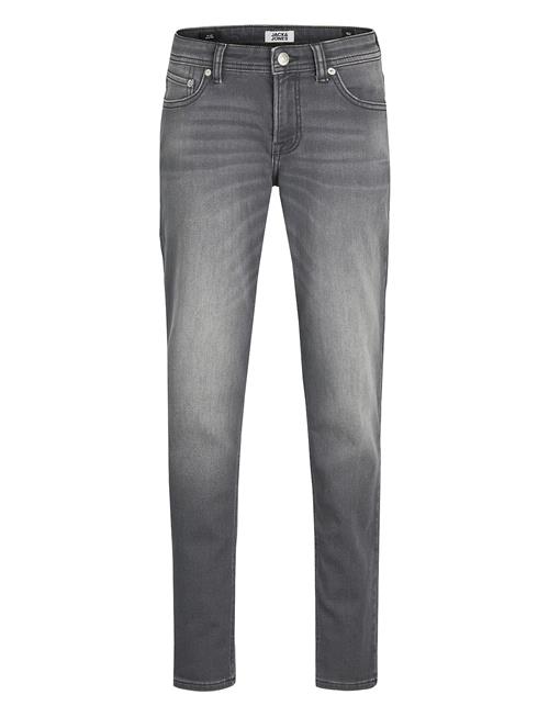 Jack & Jones Jjiglenn Jjoriginal Ge 998 I.k Noos Jnr Jack & J S Grey